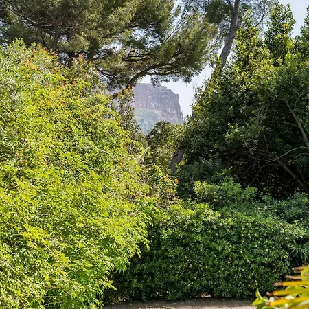 Chez Francoise Par Dodo-a-cassis カシ